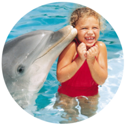 2024 fmiAgent Point Awards Swim with Dolphins