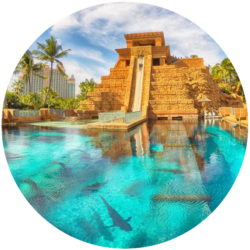 2024 fmiAgent Point Awards Atlantis